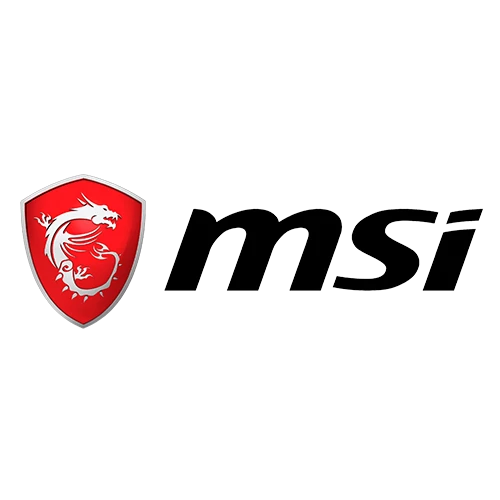 MSI